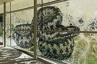 Kreuzotter, Glasfassade innen