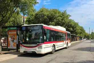 Image illustrative de l’article Réseau de bus Citéa