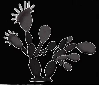 Description de cette image, également commentée ci-après