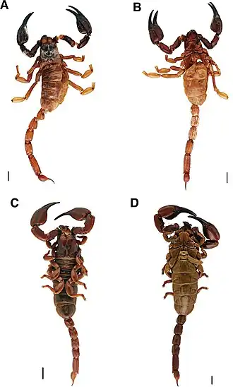 Description de cette image, également commentée ci-après