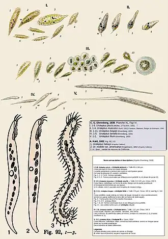 Description de cette image, également commentée ci-après