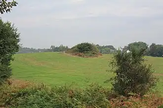 L'usine de salaison gallo-romaine du Resto (le site est recouvert par de la végétation ; seule cette partie du champ, là où est signalé le site protégé, est exempt de labour).