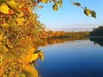 Raïon d'Oust-Kalmanka