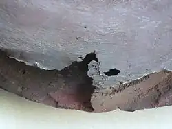 Détail de l'usure par cavitation d'un impulseur.