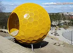 Globe jaune, avril 2021.