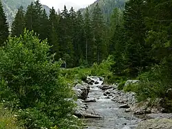 Vallon de la Madone de Fenestre, Saint-Martin-Vésubie en juin 2017.
