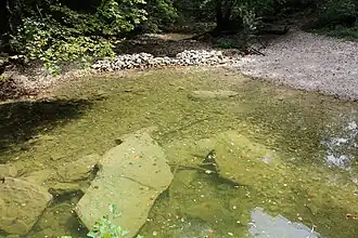 la Vézeronce à Surjoux-Lhopital