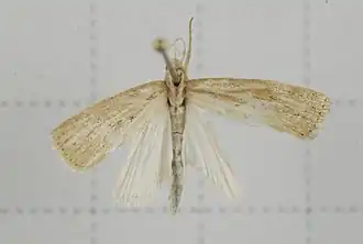 Description de l'image V01-20140624-026 (14784444333).jpg.