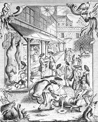 Image illustrative de l’article Shehita