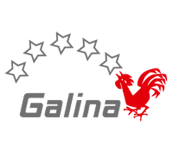 Logo du VBC Galina