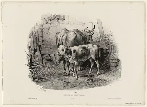 France : vache et son veau, Victor Adam, 1832