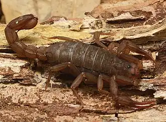 Description de cette image, également commentée ci-après