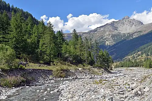 Le Guil près d'Echalp dans le Queyras.