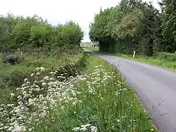Photographie d'une route près du Mandit.