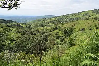 Image illustrative de l’article Pays Bamiléké