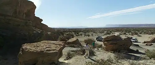 La Vallée de la Lune, paysage semi-aride dans le parc naturel d'Ischigualasto, en Argentine