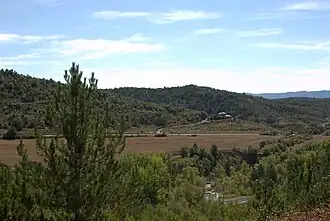 Photographie d'une plaine entourée de monts couverts de pins.