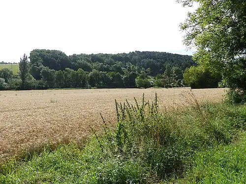 Paysage au nord du lieu-dit Coutet.