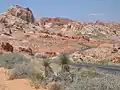 Valley of Fire.