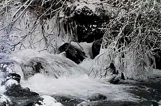 Jonction du Lavedan et du Couradet en hiver.