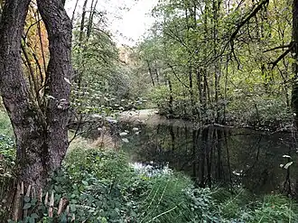 Image illustrative de l’article Vallon du Vuylbeek