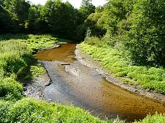 La Valouse en amont du pont de la Roche Noire.