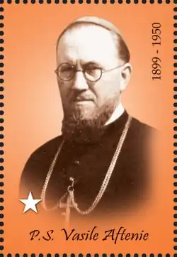 Image illustrative de l’article Vasile Aftenie