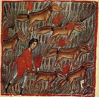 Samson et les renards, extrait d'un manuscrit du XIIIe&nbsp;siècle du monastère de Vatopedi