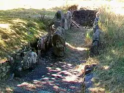 Allée couverte du cimetière des Anglais.