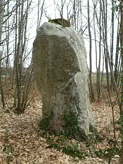 Le menhir de la Drouetterie.