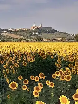 Vue de Lorette depuis Scossici -