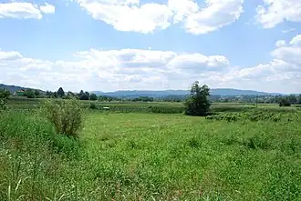 Image illustrative de l’article Grand tumulus de Pilatovići