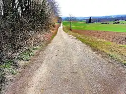 Ancienne voie romaine, aujourd'hui piste agricole.