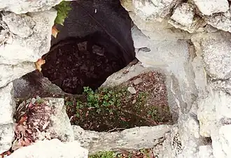 Intérieur de la 39 montrant le fouloir et la cuve de vinification.