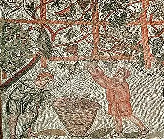 partie supérieure : des treilles lourdes de raisins et des oiseaux ; partie inférieure : deux hommes cueillent des raisins et les mettent dans une grosse corbeille