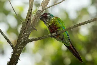 Description de cette image, également commentée ci-après