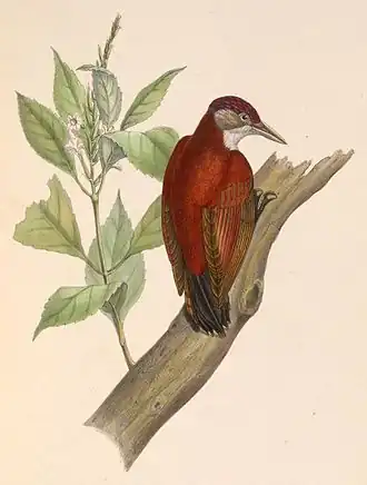 Description de cette image, également commentée ci-après