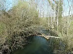 Le Vern près du lieu-dit Combalou, en limites de Vallereuil (à gauche) et Neuvic.
