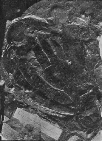 Description de cette image, également commentée ci-après