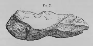 Pointe de lance avec échancrure retaillée sur côté