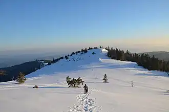 La montagne de Lure.