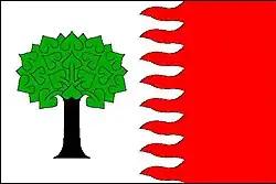 Drapeau de Veselý Žďár