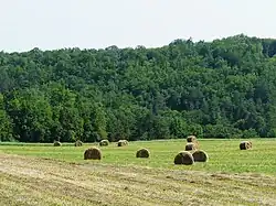 La vallée du Caudeau à Veyrines-de-Vergt.