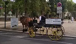Calèche stationnée rue du Casino