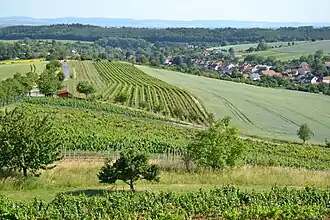 Modrá (district d'Uherské Hradiště)