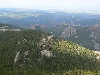 Photographie des Black Hills depuis le pic Black Elk.