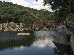 Vue d'un petit étang.