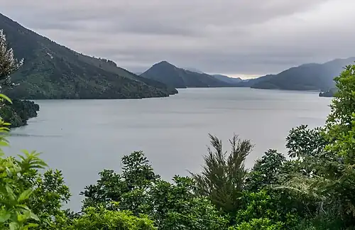 Photographie d'une ria très encaissée depuis une côte portant une végétation subtropicale.