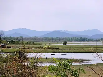 Kariba