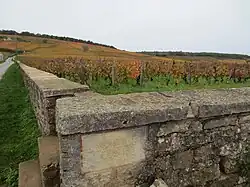 Romanée-conti
